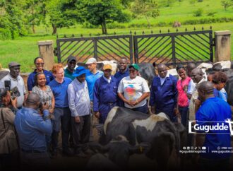 dfcu Bank Launches 11th Edition of Best Farmers Competition, Emphasizing Value Addition