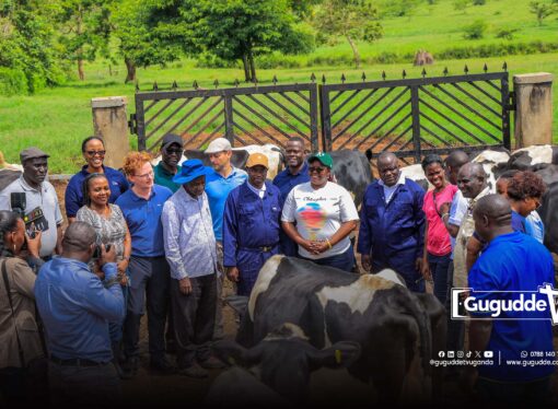 dfcu Bank Launches 11th Edition of Best Farmers Competition, Emphasizing Value Addition