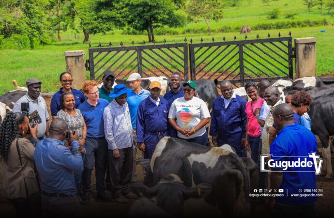 dfcu Bank Launches 11th Edition of Best Farmers Competition, Emphasizing Value Addition